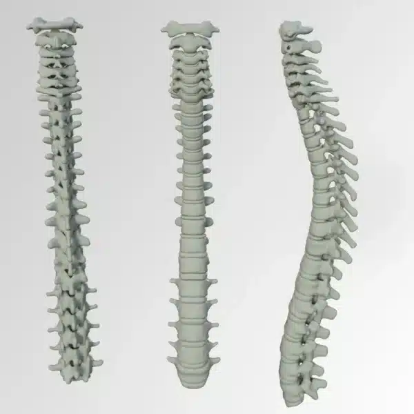 chiropraticien gatineau