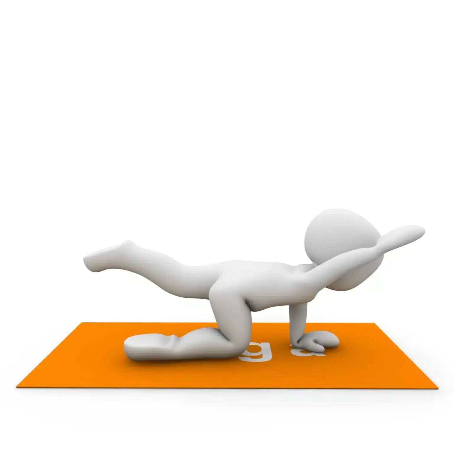 exercice nerf sciatique