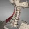 décompresser